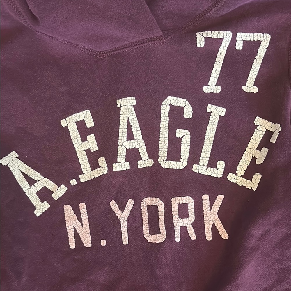 American Eagle Purple Long Sleeve Hoodie - Picture 4 of 9